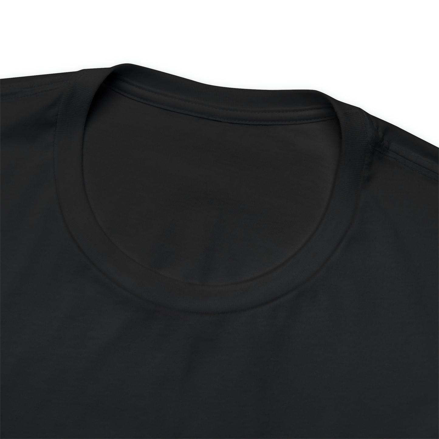 Financial Literacy Is Cool T-shirt