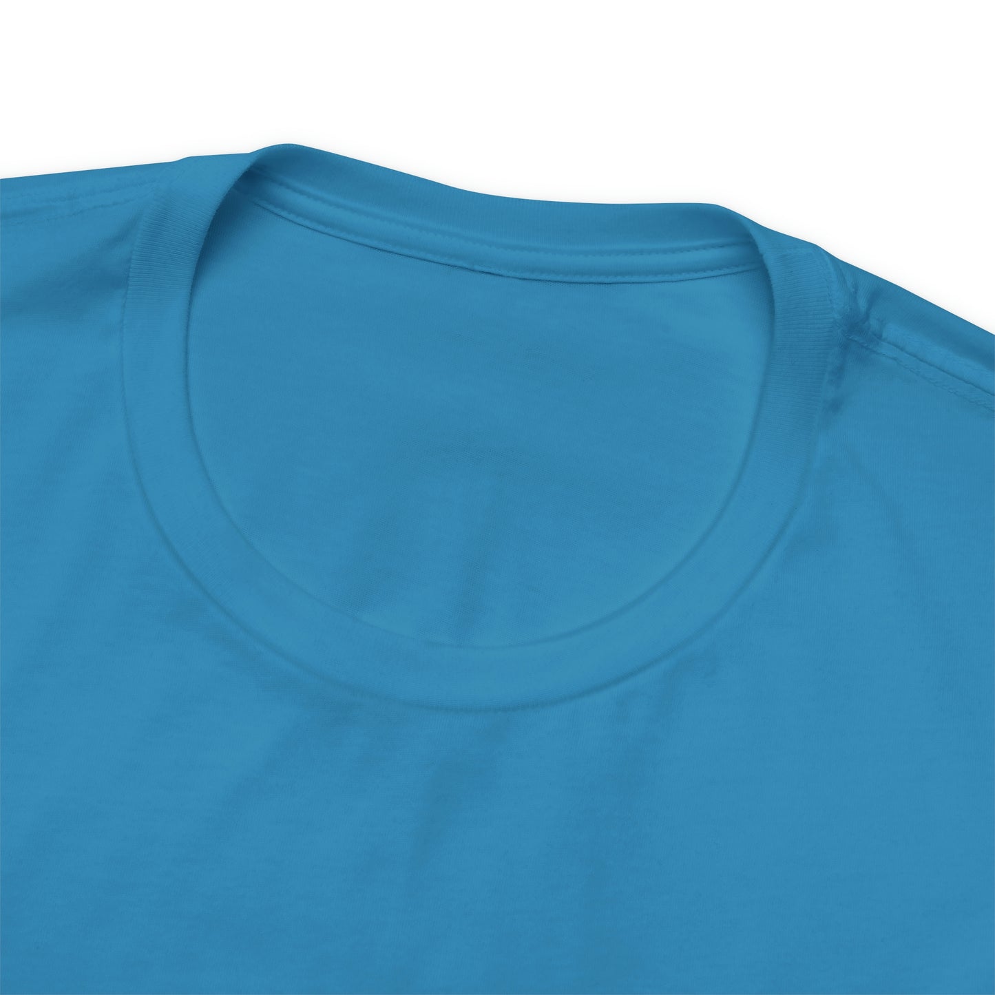 Financial Literacy Is Cool T-shirt
