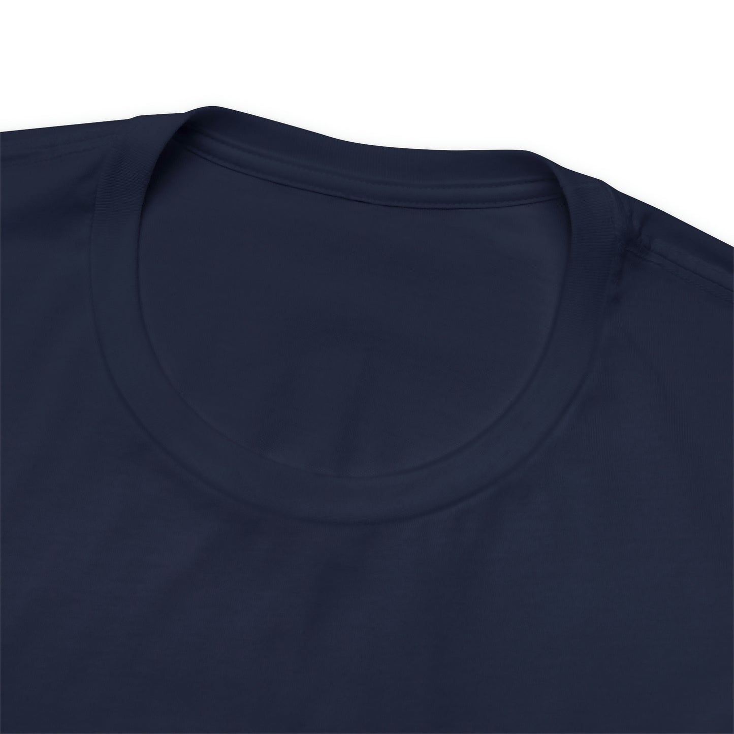 Financial Literacy Is Cool T-shirt