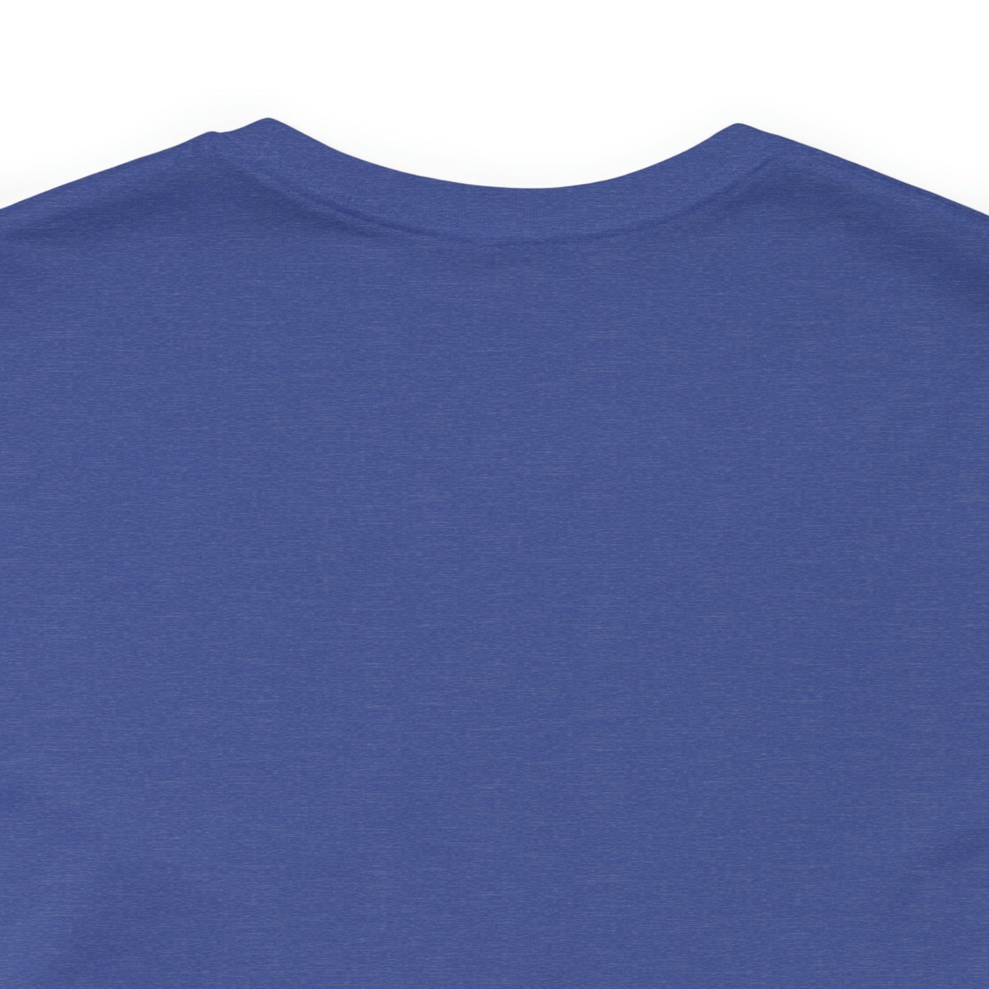 Financial Literacy Is Cool T-shirt