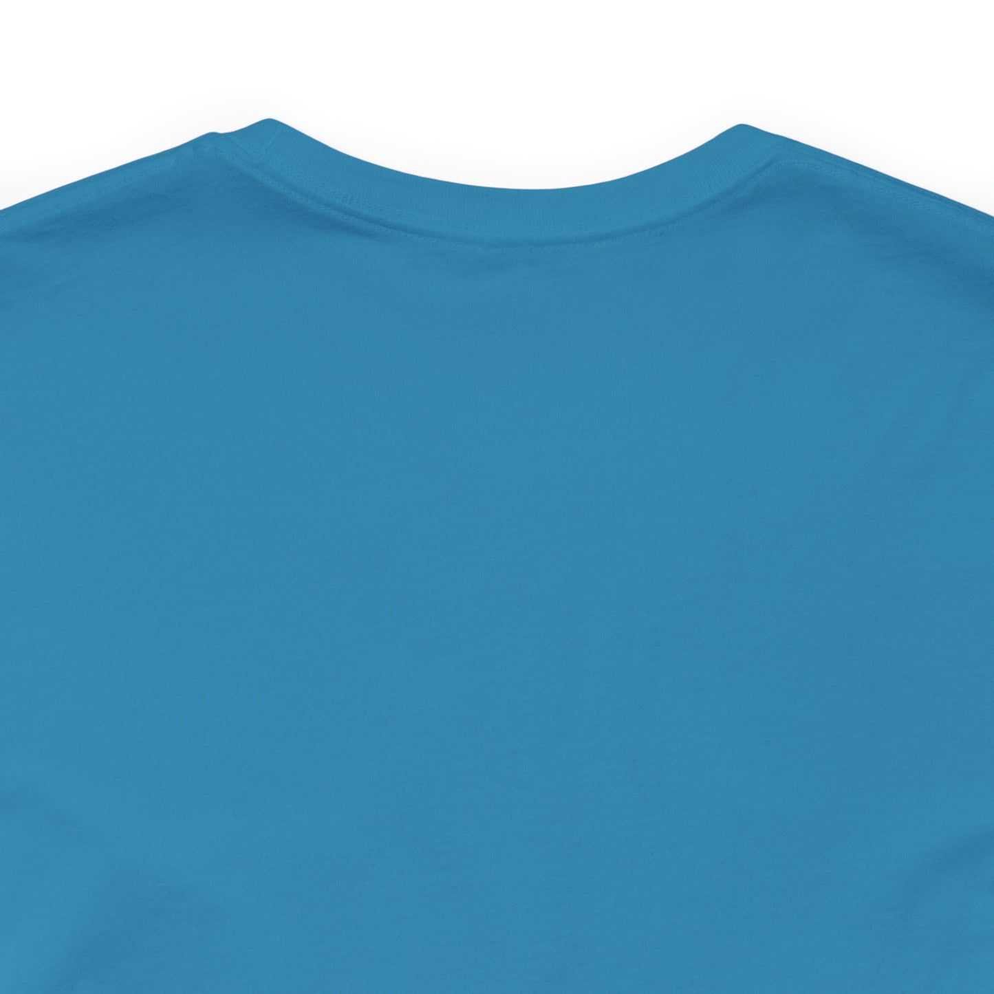 Financial Literacy Is Cool T-shirt