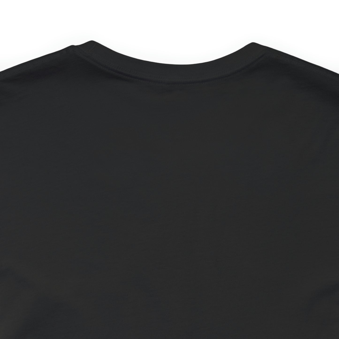 Financial Literacy Is Cool T-shirt